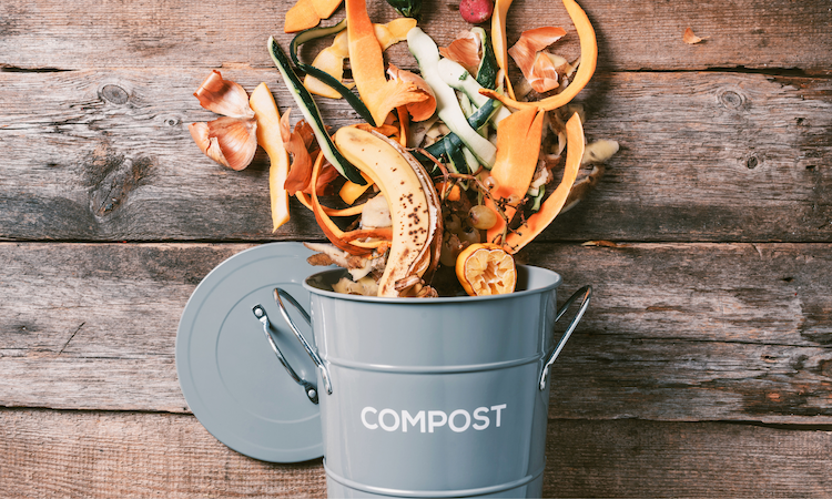 green office ideas composting