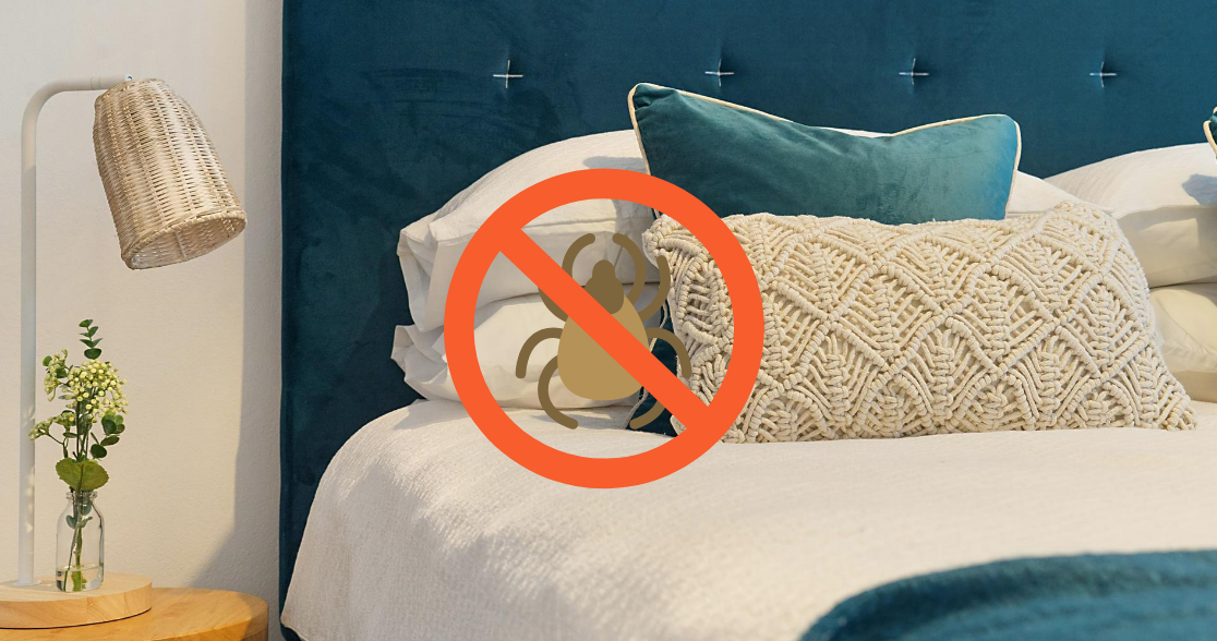bed bugs poop