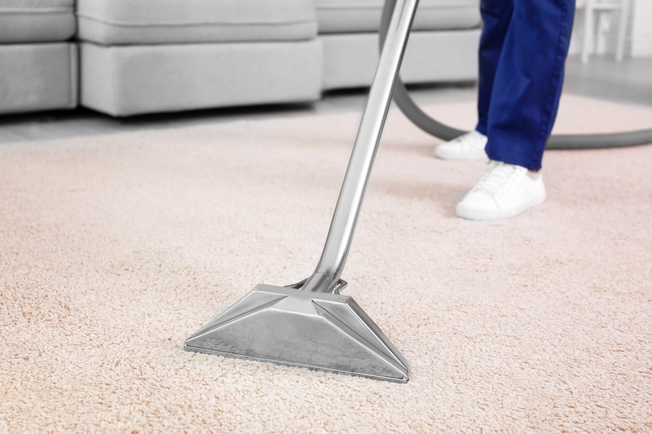 damp carpet smell